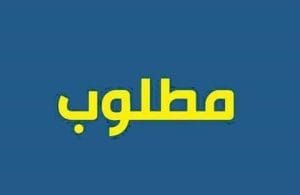 وظائف شاغرة 