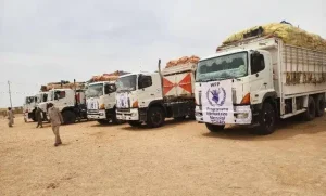 قافلة أممية