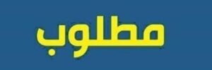 فرصة عمل في مصر 