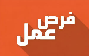 فرصة عمل في مصر 