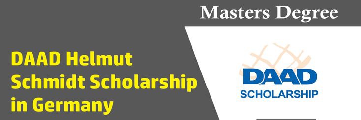 DAAD Scholarship