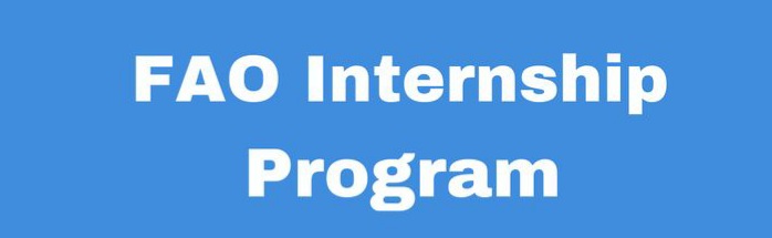 FAO Internship Program