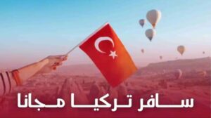 منحة دراسية 