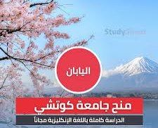 منحة دراسية 