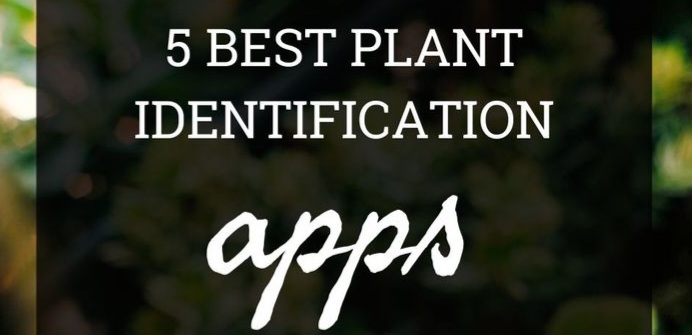 Plant ID apps