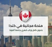 منحة دراسية